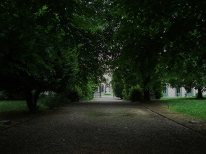 DSC07058a